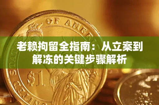 北京老赖拘留全指南：从立案到解冻的关键步骤解析