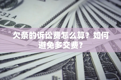北京欠条的诉讼费怎么算？如何避免多交费？