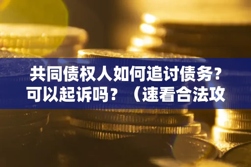 北京共同债权人如何追讨债务？可以起诉吗？（速看合法攻略）